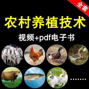 2016r(nng)B(yng)ֳuţüg(sh)ҕl̳ȫ r(nng)(chung)I(y)ٍX(xing)Ŀ0